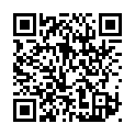 To view this 2013 Ford Explorer Garland TX from DallasAutos4Less.com | Bad Credit Auto Loan Specialists Garland TX, please scan this QR code with your smartphone or tablet to view the mobile version of this page.