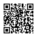 To view this 2015 Chrysler 200 Garland TX from DallasAutos4Less.com | Bad Credit Auto Loan Specialists Garland TX, please scan this QR code with your smartphone or tablet to view the mobile version of this page.